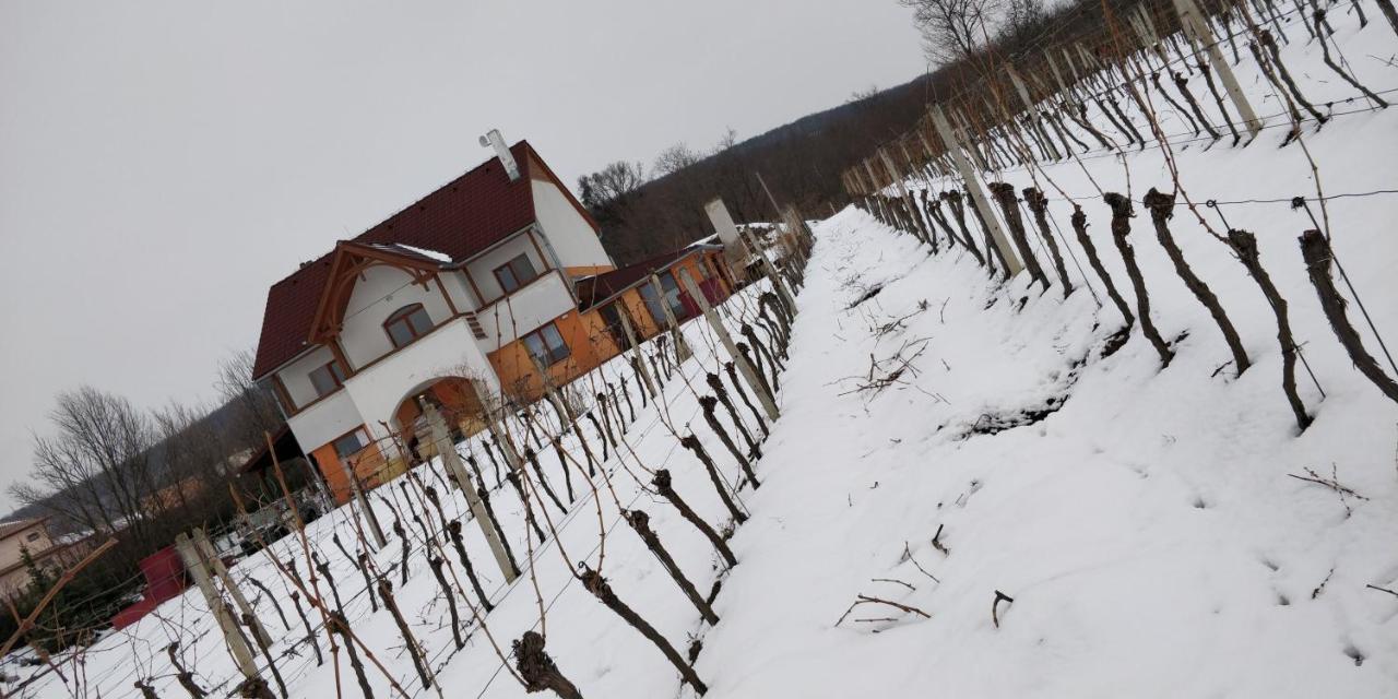 Vinox Winery Villa Vinica ภายนอก รูปภาพ