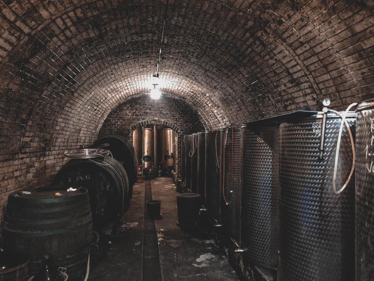Vinox Winery Villa Vinica ภายนอก รูปภาพ